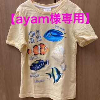 エイチアンドエム(H&M)の【ayam様専用】キッズ 魚柄 Tシャツ(Tシャツ/カットソー)