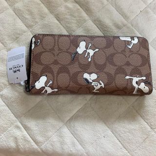 コーチ(COACH)の未使用コーチ　スヌーピーコラボC4327 シグネチャー　ベージュ系(財布)