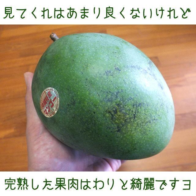 沖縄産訳あり「Ｂ級品」扱いキーツマンゴー約２キロ┃滑らかな食感が人気 食品/飲料/酒の食品(フルーツ)の商品写真