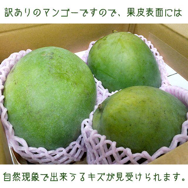 沖縄産訳あり「Ｂ級品」扱いキーツマンゴー約２キロ┃滑らかな食感が人気 食品/飲料/酒の食品(フルーツ)の商品写真