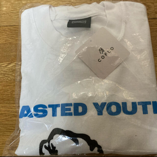 wasted youth whimsy コラボ verdy supreme