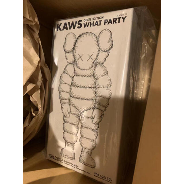 KAWS WHAT PARTY WHITE | www.causus.be