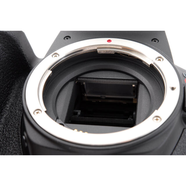 Canon kiss x 10i 標準&望遠&単焦点レンズセットの通販 by ネコ's shop｜キヤノンならラクマ - 極上品 キャノンcanon 豊富な人気