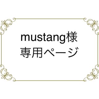 mustang様 専用ページ(各種パーツ)