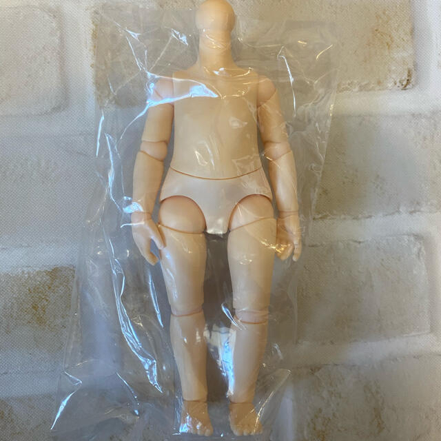 人形 サラ様専用出品 A 2体 monst doll モンスト ドール ボディ