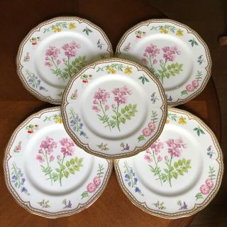 ロイヤルウースター(Royal Worcester)の【レア】ロイヤルウースター★サンドリンガム★ディナー皿　5枚(食器)