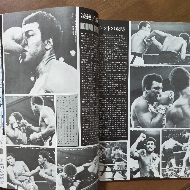 「アリ落城」 エンタメ/ホビーの雑誌(趣味/スポーツ)の商品写真