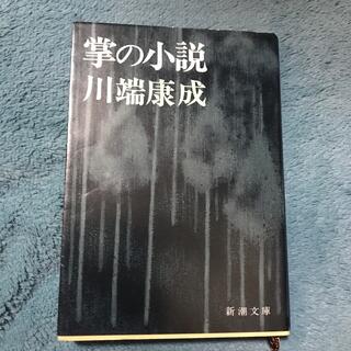 掌の小説 改版(文学/小説)