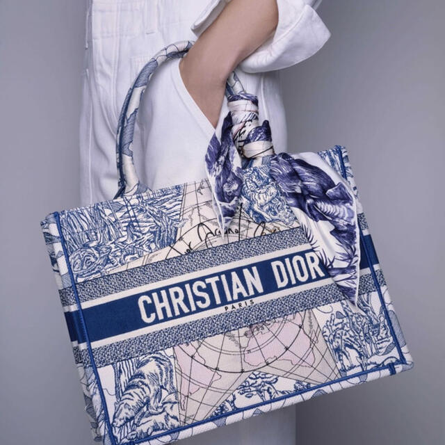 Dior(ディオール)のdior レディースのバッグ(ハンドバッグ)の商品写真