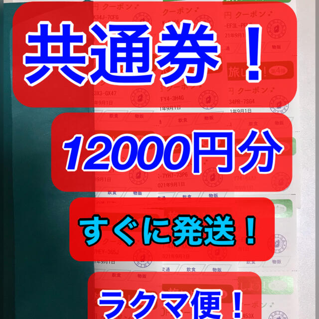 専用出品【共通券】今こそ滋賀を旅しよう、しが周遊クーポン