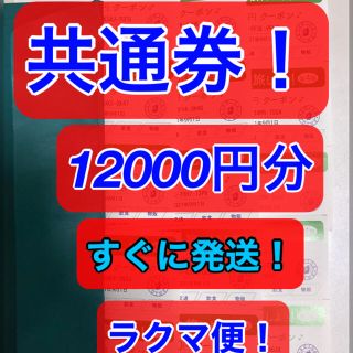 専用出品【共通券】今こそ滋賀を旅しよう、しが周遊クーポン(その他)