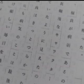 黒瀬様専用　(その他)