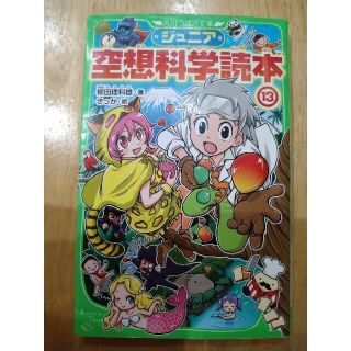 33　ジュニア空想科学読本 １３(絵本/児童書)