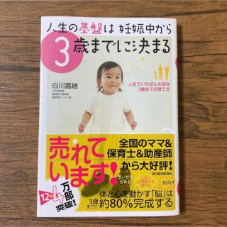 人生の基盤は妊娠中から３歳までに決まる 人生でいちばん大切な３歳までの育て方(結婚/出産/子育て)