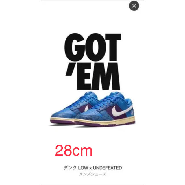 UNDEFEATED NIKE DUNK LOW ナイキ ダンク ロー 28cm