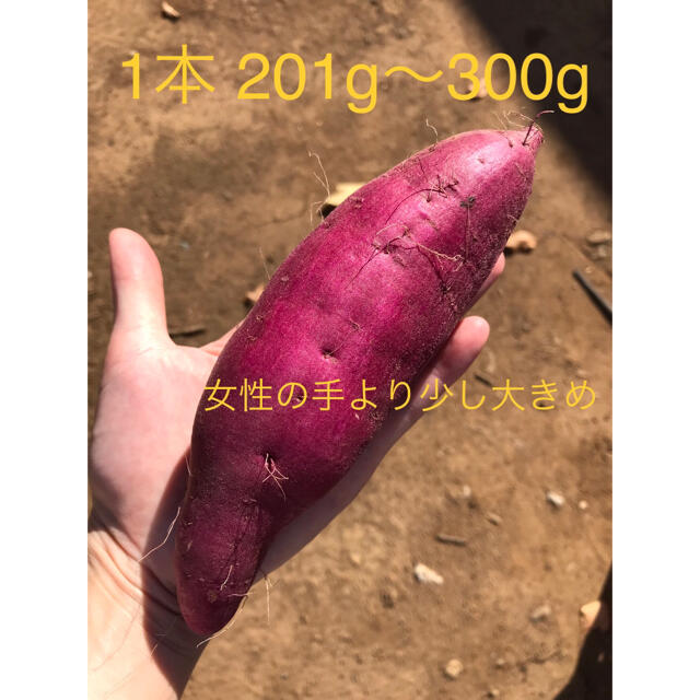 さつまいも　べにあずま　Mサイズ　2kg 食品/飲料/酒の食品(野菜)の商品写真