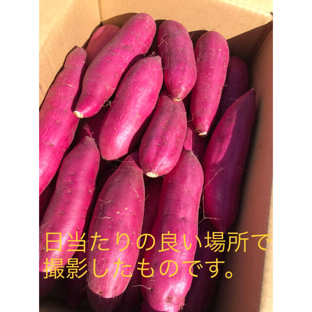 さつまいも　べにあずま　Mサイズ　2kg 食品/飲料/酒の食品(野菜)の商品写真