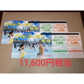 （2冊）ナガシマジャンボ海水プール&スパーランドの入場券+乗り物券+500円券(その他)