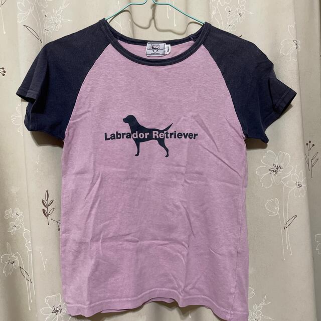 Labrador Retriever(ラブラドールリトリーバー)のTシャツ（ラブラドールリトリーバー) レディースのトップス(Tシャツ(半袖/袖なし))の商品写真