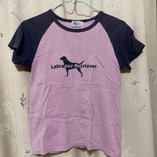 ラブラドールリトリーバー(Labrador Retriever)のTシャツ（ラブラドールリトリーバー)(Tシャツ(半袖/袖なし))
