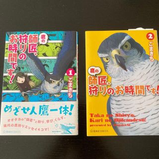 鷹の師匠、狩りのお時間です！ １-2(その他)