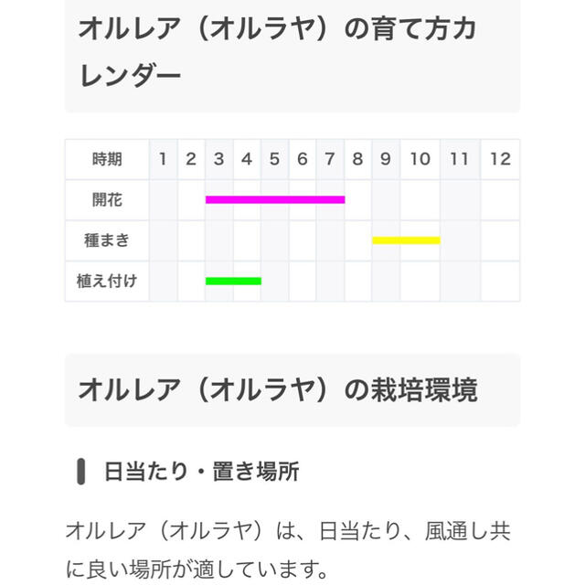 お花の種 3種類セット ✿ オルレアホワイトレース・シレネガリカ・千鳥草 ハンドメイドのフラワー/ガーデン(その他)の商品写真