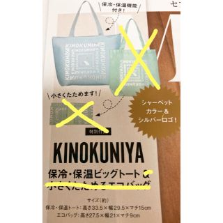 タカラジマシャ(宝島社)のオトナミューズ9月号 KINOKUNIYA 紀ノ国屋 保冷・保温ビッグトートのみ(トートバッグ)