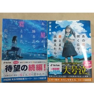 あの花が咲く丘で、君とまた出会えたら。あの星が降る丘で、君とまた出会いたい。(文学/小説)