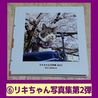 ⑥リキちゃん写真集第2弾（ミニアルバム）【koba3さん専用】(その他)