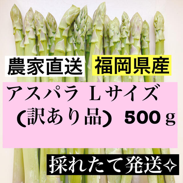 アスパラLサイズ(訳あり品)即購入OKです 食品/飲料/酒の食品(野菜)の商品写真