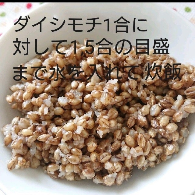 令和3年産 ダイシモチ 玄麦 食品/飲料/酒の食品(米/穀物)の商品写真