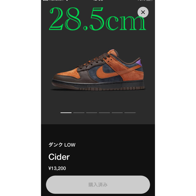 nike dunk low cider  ダンク　ロー　28.5cm