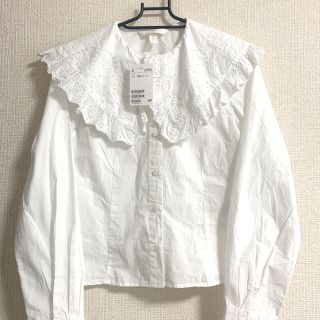 エイチアンドエム(H&M)の【新品・美品】ブラウス　ビッグカラー(シャツ/ブラウス(長袖/七分))