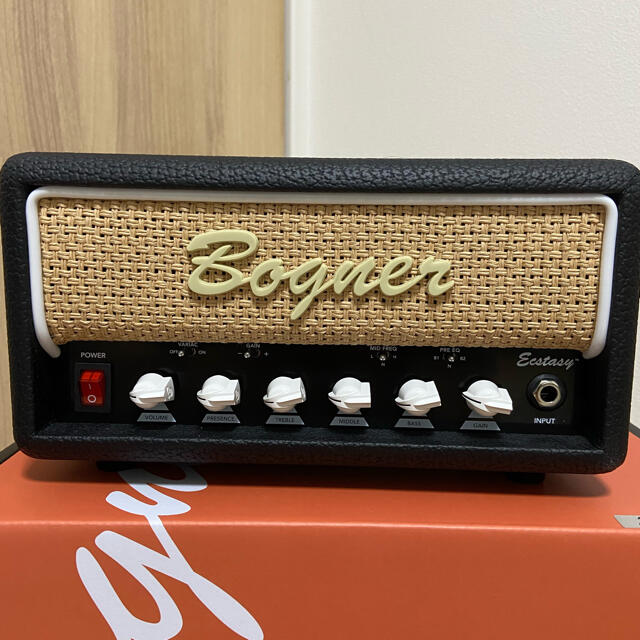 Bogner ecstasy  Mini head amp