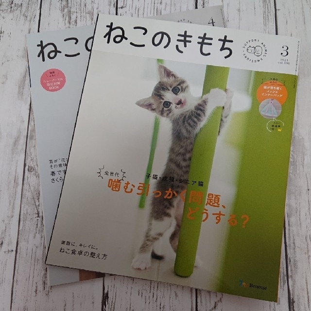 ねこのきもち 3月・4月号 エンタメ/ホビーの雑誌(専門誌)の商品写真