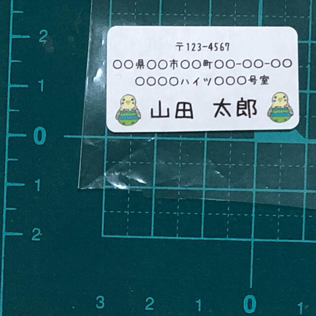 【フォント変更可】差出人シール(セキセイインコ) 65面 195枚 宛名 カラー ハンドメイドの文具/ステーショナリー(宛名シール)の商品写真