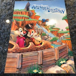 ディズニー(Disney)のディズニーランド　写真(キャラクターグッズ)