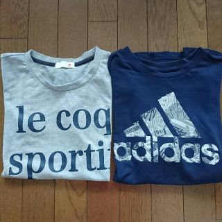 アディダス(adidas)のアディダス、ルコック Tシャツ  レディースM(Tシャツ(半袖/袖なし))