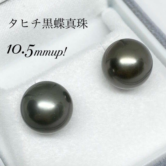 シックなブラック!テリの美しい☆K14WGタヒチ黒蝶真珠10.5mmupピアス