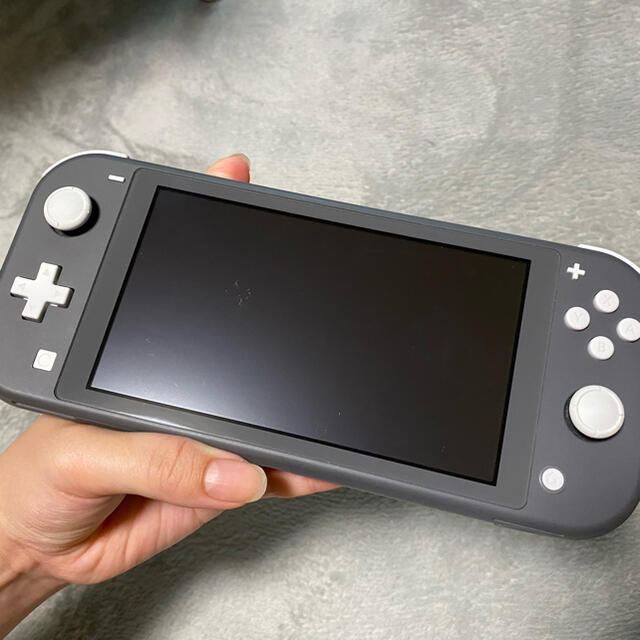 【Nintendo Switch Lite】グレー