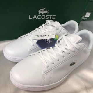 ラコステ(LACOSTE)の新品！23cm Lacoste ラコステ スニーカー(スニーカー)