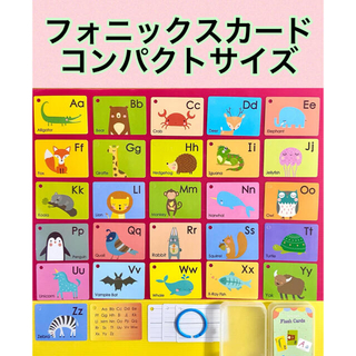 英語 リングカード フォニックス フラッシュカード 知育 アルファベット (知育玩具)