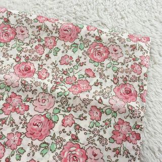 check&stripe リバティ フェリシテ 縮小版 ボンポワン サンドウ