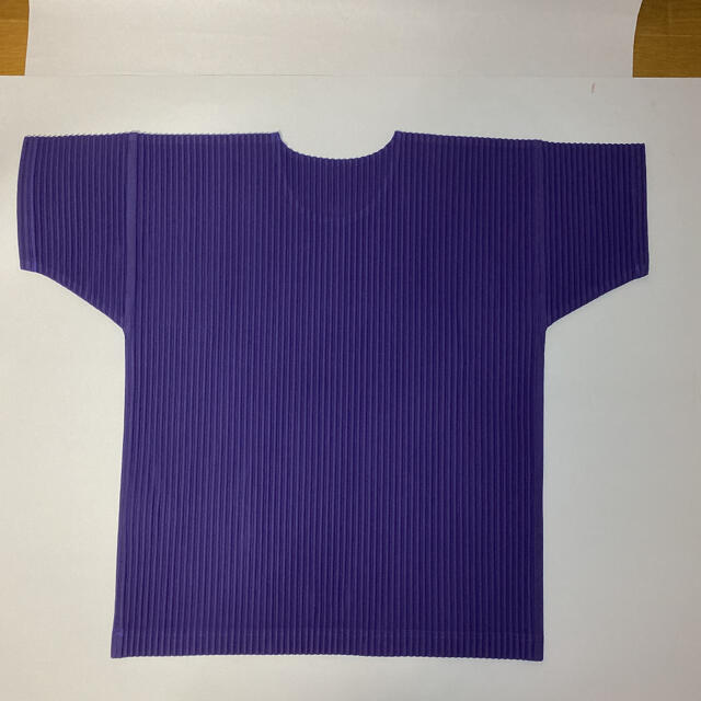 ISSEY MIYAKE - HOMME PLISSE ISSEY MIYAKE Tシャツの通販 by ひな's ...