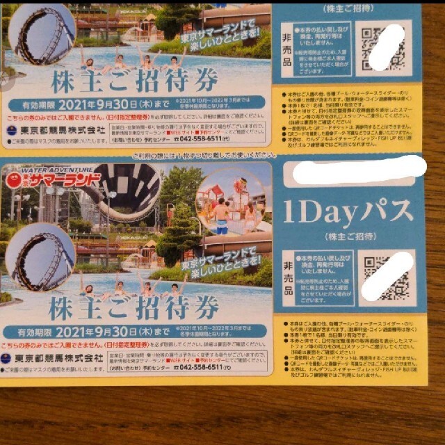 東京サマーランド　フリーパス　株主優待　ご招待券 チケットの施設利用券(遊園地/テーマパーク)の商品写真