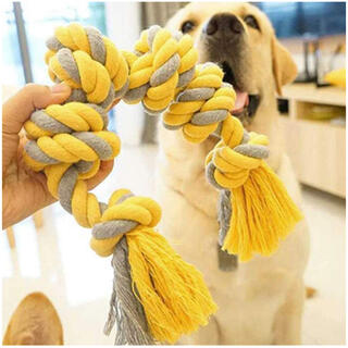 犬 おもちゃ 噛むおもちゃ ロープおもちゃ 犬用 玩具 歯磨き(おもちゃ/ペット小物)