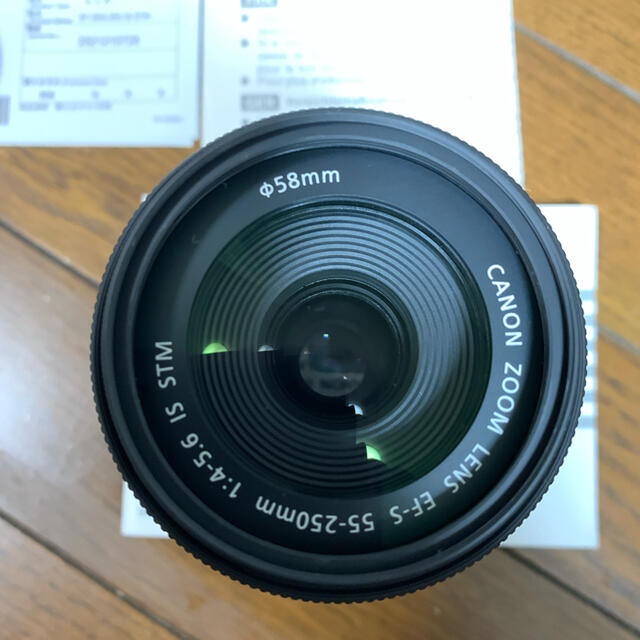 Canon EF-S55-250F4-5.6 IS STM