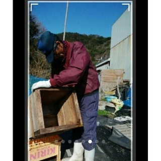 日本ミツバチの蜂蜜 1300g   570×2本  160×1本