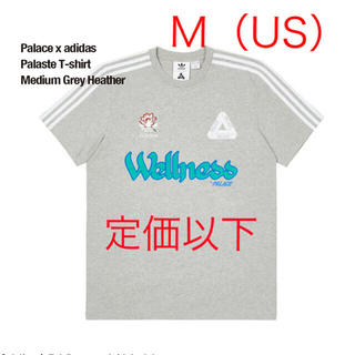 アディダス(adidas)のPalace adidas Palaste Tshirt グレー新品Ｍ(US)(Tシャツ/カットソー(半袖/袖なし))