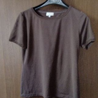 バレンシアガ(Balenciaga)のBALENCIAGA　バレンシアガ　レディースTシャツ　Ｓサイズ(Tシャツ(半袖/袖なし))